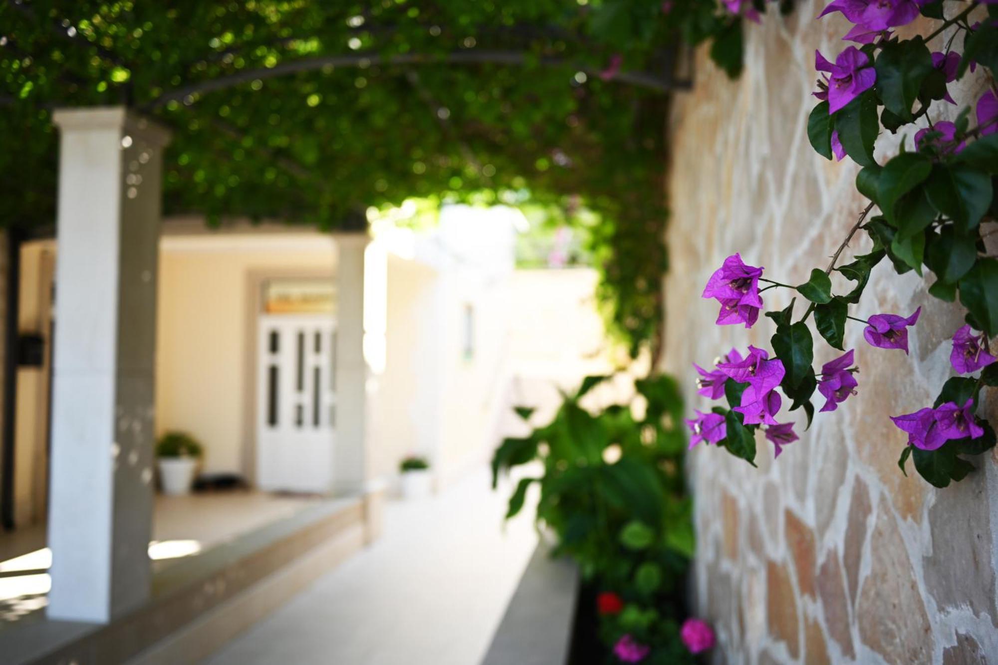 Hvar Villa Malisko Apartments Hvar Town Luaran gambar