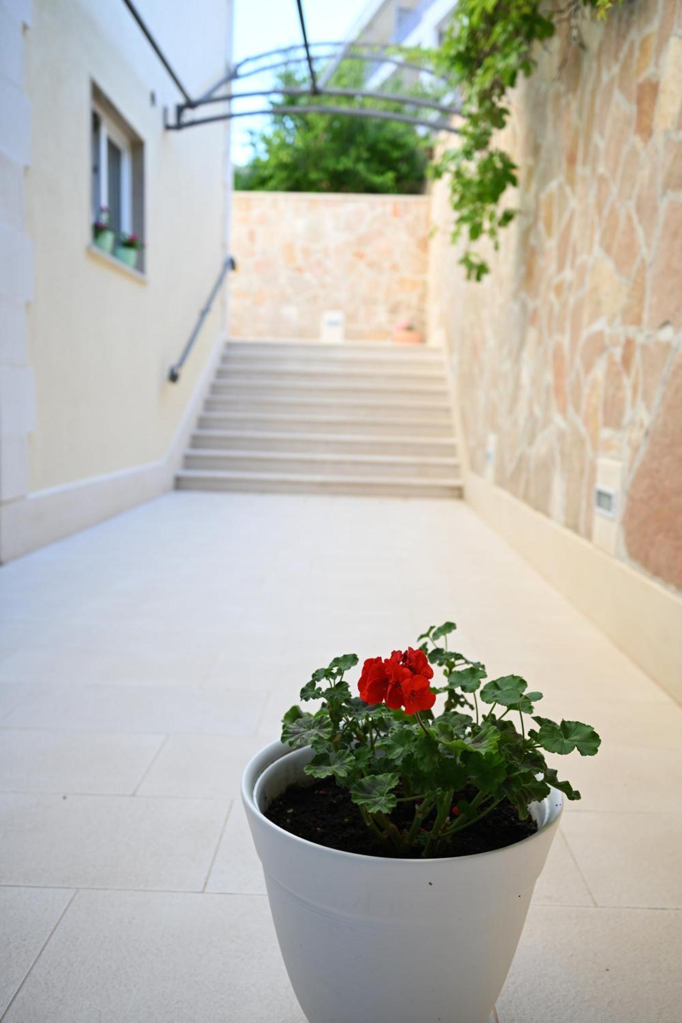 Hvar Villa Malisko Apartments Hvar Town Luaran gambar