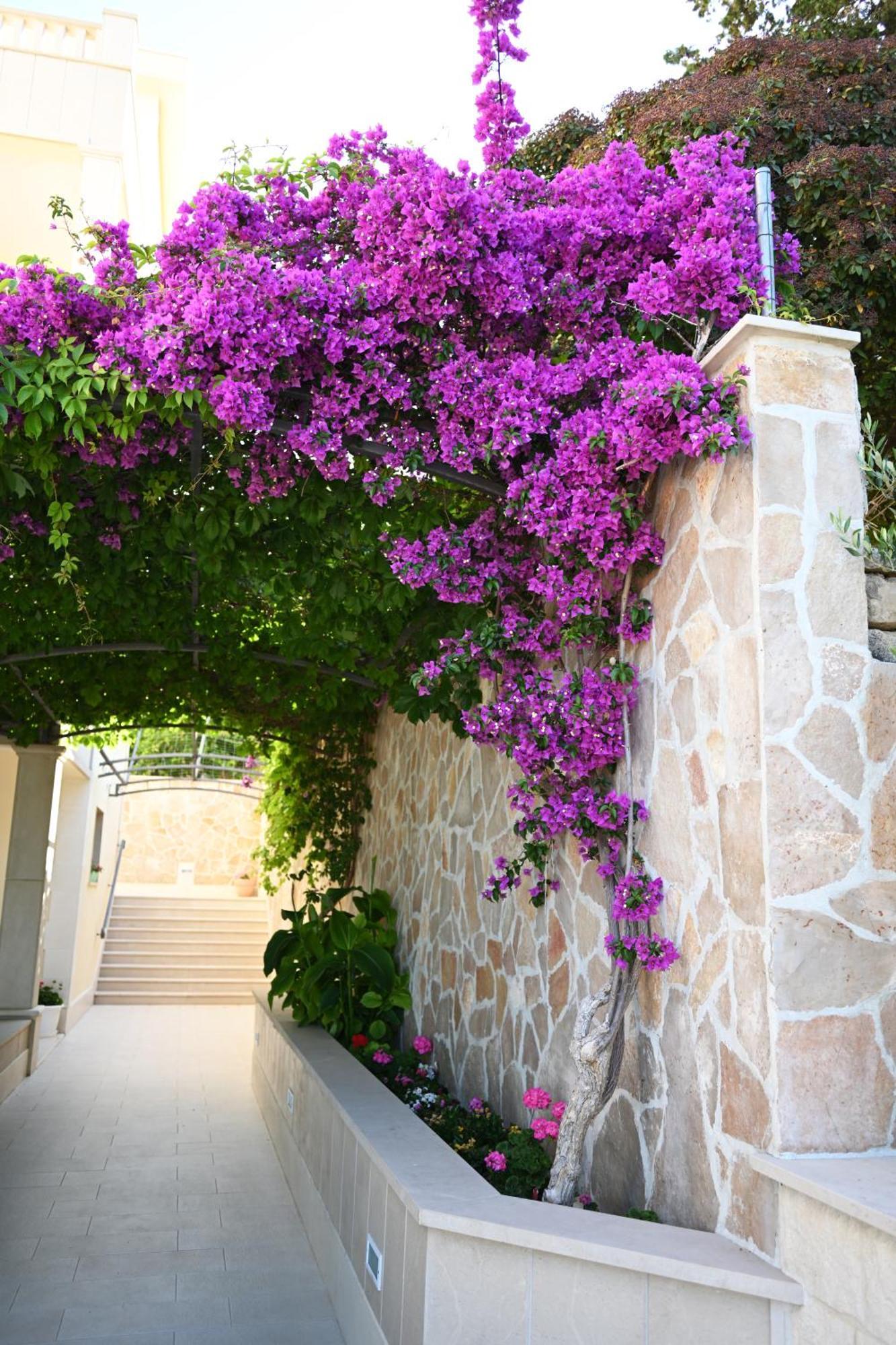 Hvar Villa Malisko Apartments Hvar Town Luaran gambar